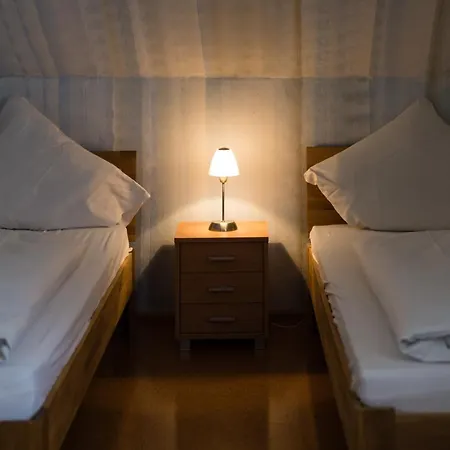 Loewen Hotel Freiburg im Breisgau