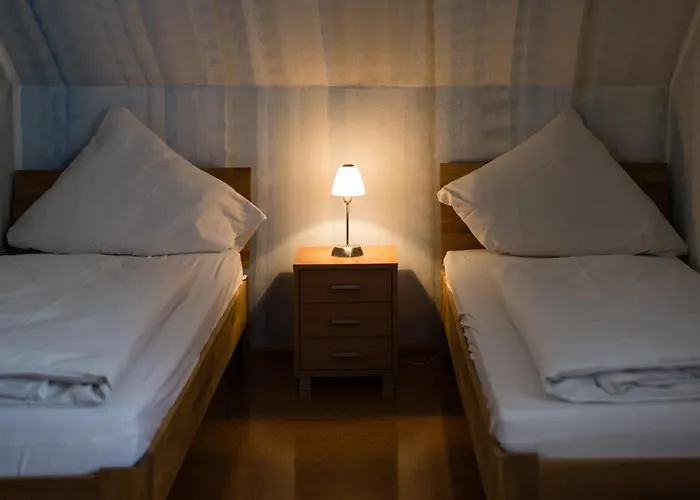 Loewen Hotel Freiburg im Breisgau